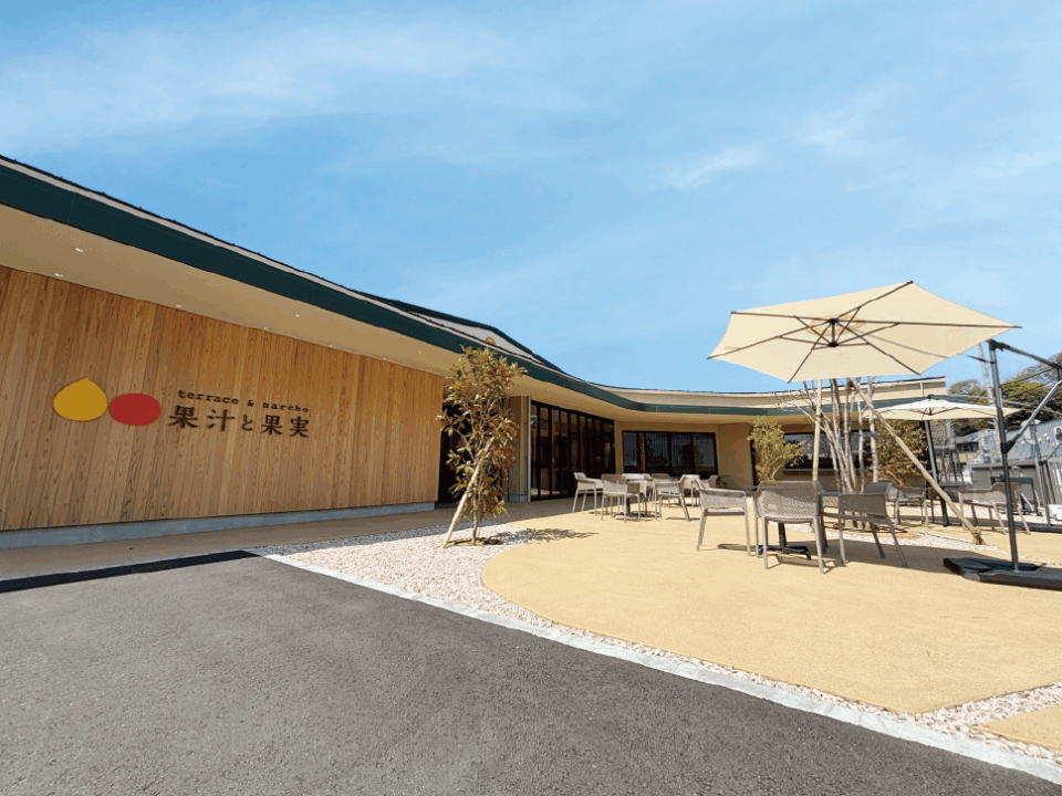 果汁と果実の1枚目