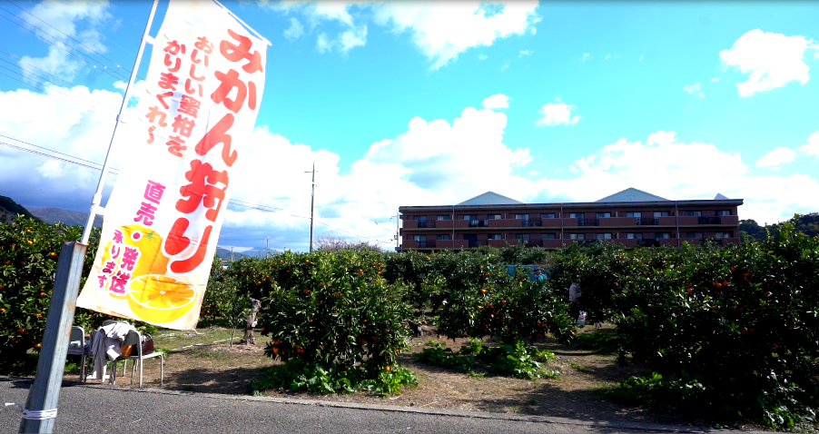 スガイ農園の1枚目