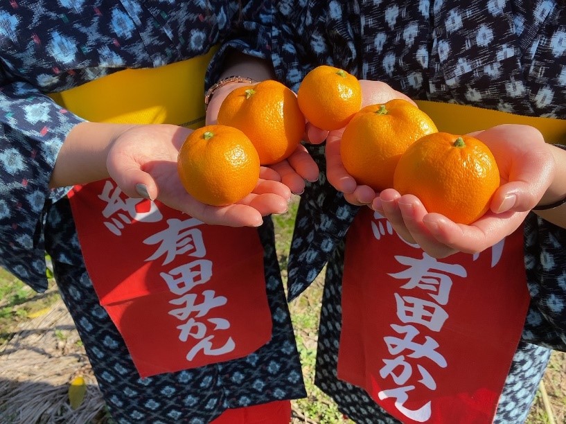 スガイ農園の4枚目