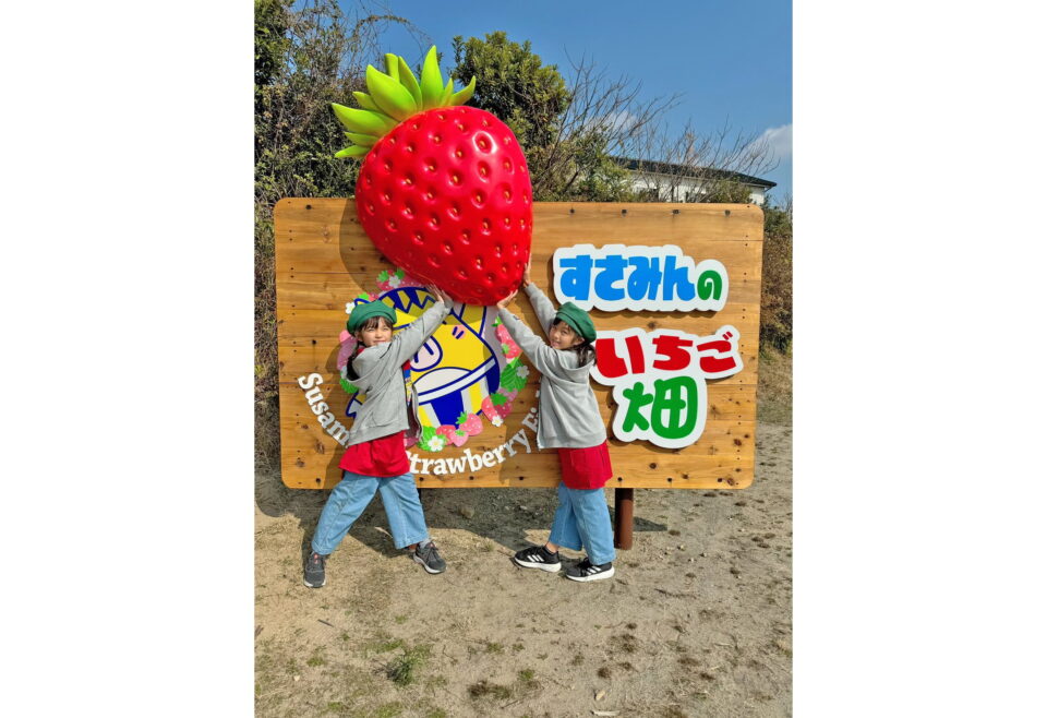 すさみんのいちご畑の3枚目