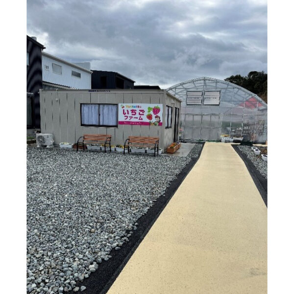 よってって　いちごファーム